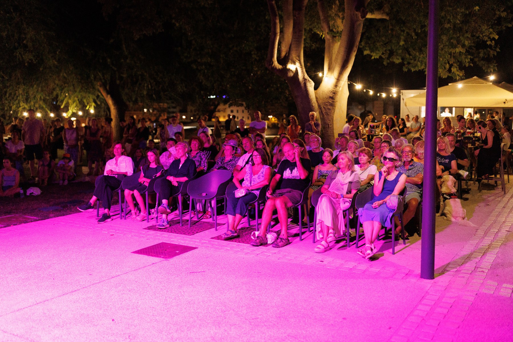 Zagrli Zadar @ zadarski bedemi