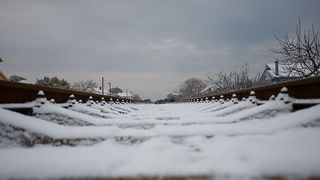 Snijeg u Bibinjama 3. veljače 2012, Foto: Leo Banić