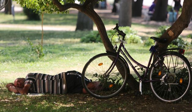 Spavanje u hladu. Hladovina. Pizolin