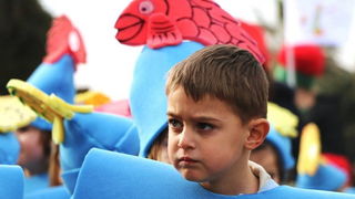 Virski karnevalić 2016. Virski karnevalić 2016.