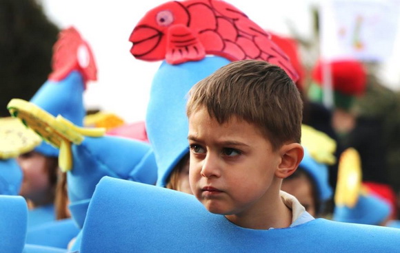 Virski karnevalić 2016. Virski karnevalić 2016.