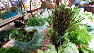 Zadar, 210312.
Unatoc velikoj susi koja vlada u zadarskom kraju, ovih dana na zadarskoj trznici su se pojavile prve sparoge.
Foto: Luka Gerlanc / CROPIX Zadar, 210312.
Unatoc velikoj susi koja vlada u zadarskom kraju, ovih dana na zadarskoj trznici su se pojavile prve sparoge.
Foto: Luka Gerlanc / CROPIX