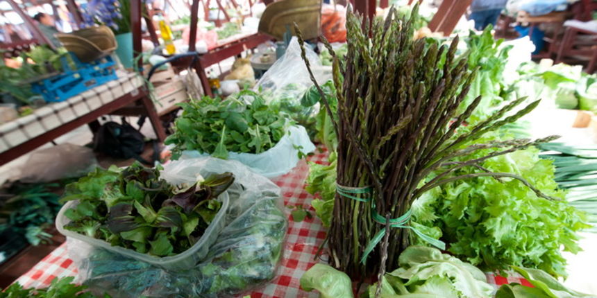 Zadar, 210312.
Unatoc velikoj susi koja vlada u zadarskom kraju, ovih dana na zadarskoj trznici su se pojavile prve sparoge.
Foto: Luka Gerlanc / CROPIX