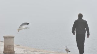 Zadar već treći dan okovan gustom maglom. Foto: Dino Stanin/Pixsell