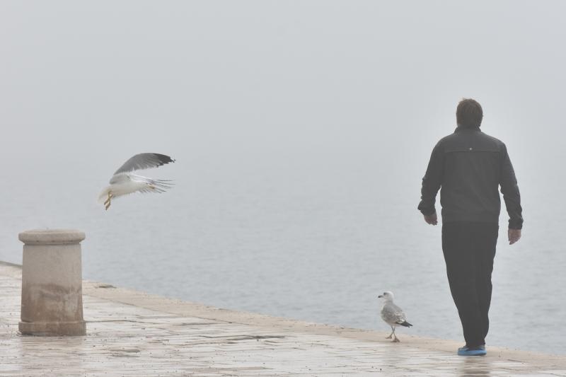 Zadar već treći dan okovan gustom maglom. Foto: Dino Stanin/Pixsell