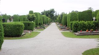 Razglednica iz Varaždina Razglednica iz Varaždina