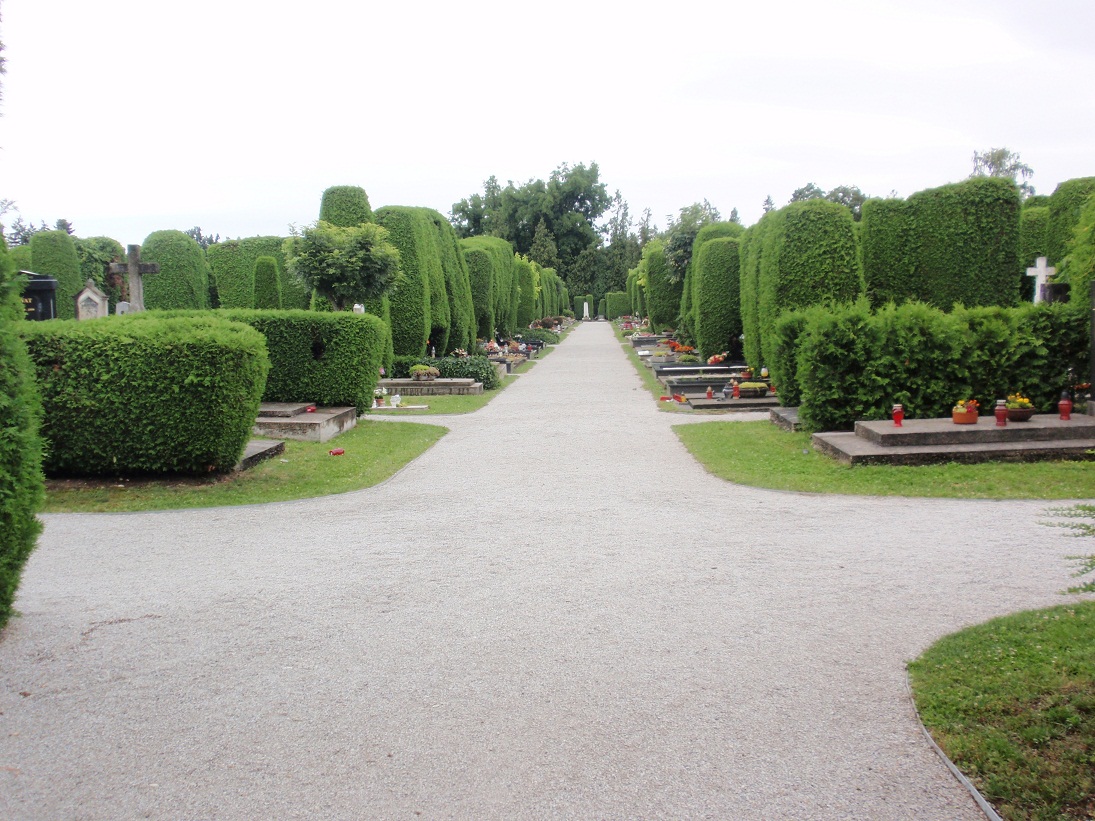 Razglednica iz Varaždina Razglednica iz Varaždina