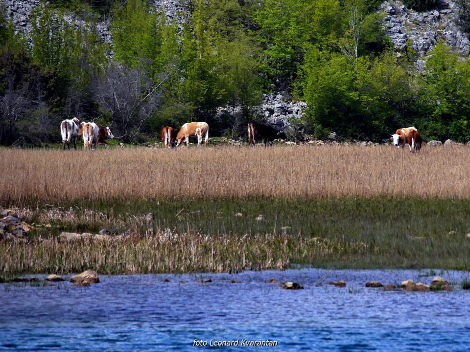 Pješačka staza Obrovac – Jankovića buk