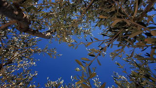 Skitnja gradom 9. svibnja 2013. Foto: Roberto Lerga Skitnja gradom 9. svibnja 2013. Foto: Roberto Lerga