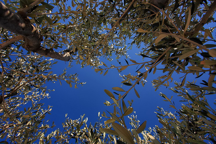 Skitnja gradom 9. svibnja 2013. Foto: Roberto Lerga Skitnja gradom 9. svibnja 2013. Foto: Roberto Lerga