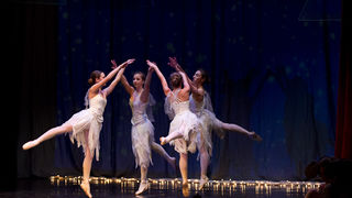 Plesna čestitka Zadarskog plesnog ansambla, Foto: Leo Banić Plesna čestitka Zadarskog plesnog ansambla, Foto: Leo Banić