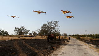 Zadar, Babindub, 230812.
Pozar u mjestu Babindub, kraj Zadra, u blizini aerodroma. Pozar je izbio medju kucama, na rubu borove sume kod vojnog aerodroma. Dio terena je miniran pa su u gasenju sudjelovali i kanaderi.
Foto: Jure Miskovic / CROPIX