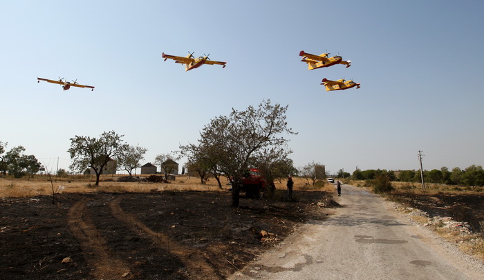 Zadar, Babindub, 230812.
Pozar u mjestu Babindub, kraj Zadra, u blizini aerodroma. Pozar je izbio medju kucama, na rubu borove sume kod vojnog aerodroma. Dio terena je miniran pa su u gasenju sudjelovali i kanaderi.
Foto: Jure Miskovic / CROPIX