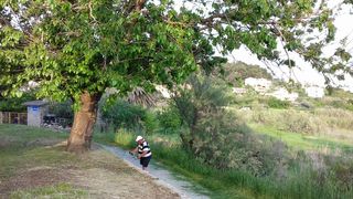 Akcije čišćenja i uređenja Vlašića na otoku Pagu