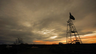 Farma “Dar-mar” (foto:Saša Čuka)