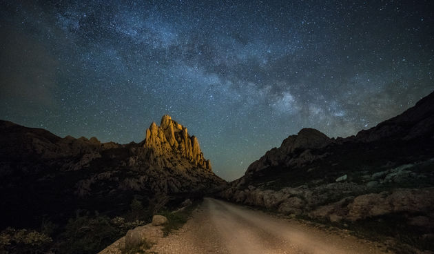 Image 4489476 (auto)