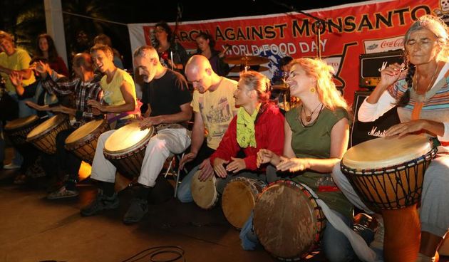 Zastupnici raspravljaju o izmjenama Zakona o GMO-u, foto: pixsell.hr