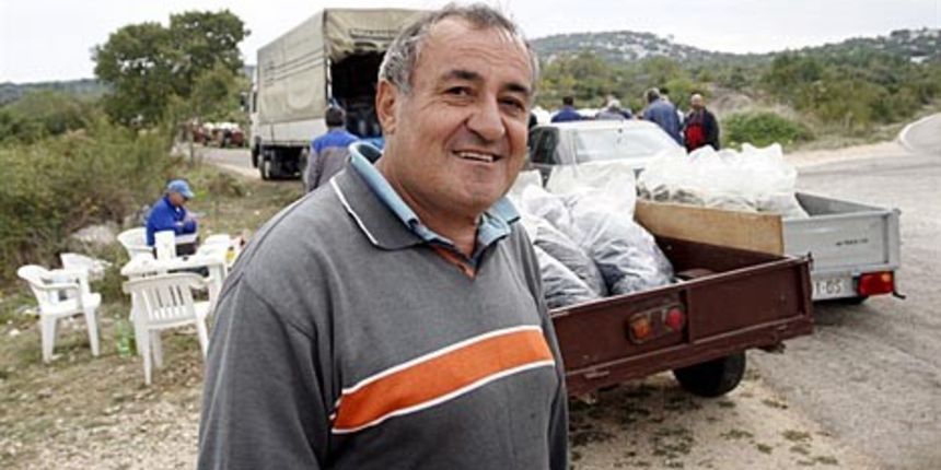 Mate Kutija je 35 godina živio u Švicarskoj, a sada uzgaja 3 tisuće loza babića, plavine i debita(Foto: Cropix)