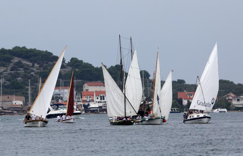Murter: Regata “Latinsko idro” 2013, Foto: Duško Jaramaz/PIXSELL Murter: Regata “Latinsko idro” 2013, Foto: Duško Jaramaz/PIXSELL