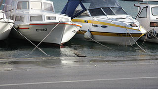 Velika Plima (foto: Marin Gospić)