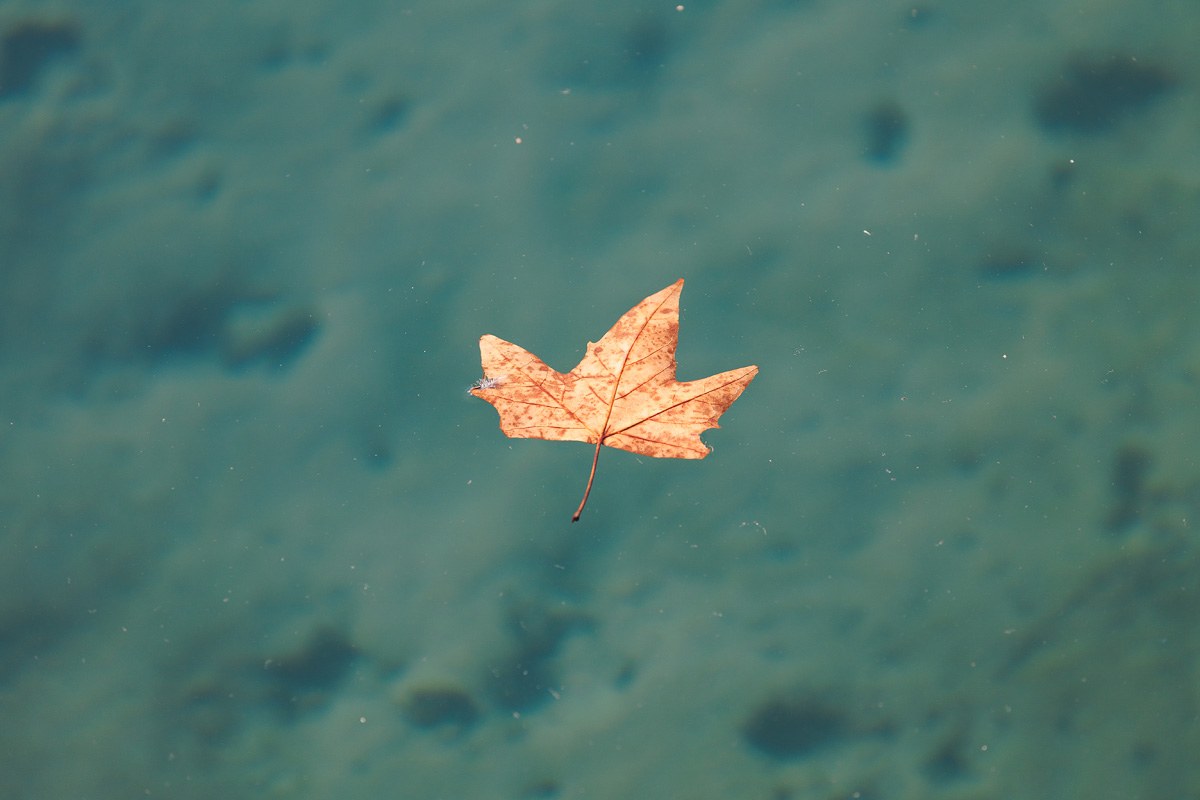 Đir po gradu, 17. siječnja 2025.