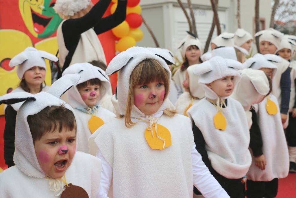 Virski Karnevalić 2017.