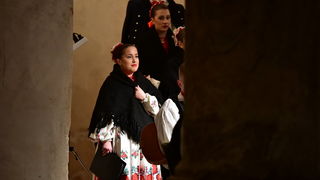 Turopoljsko srce srcu Zadra