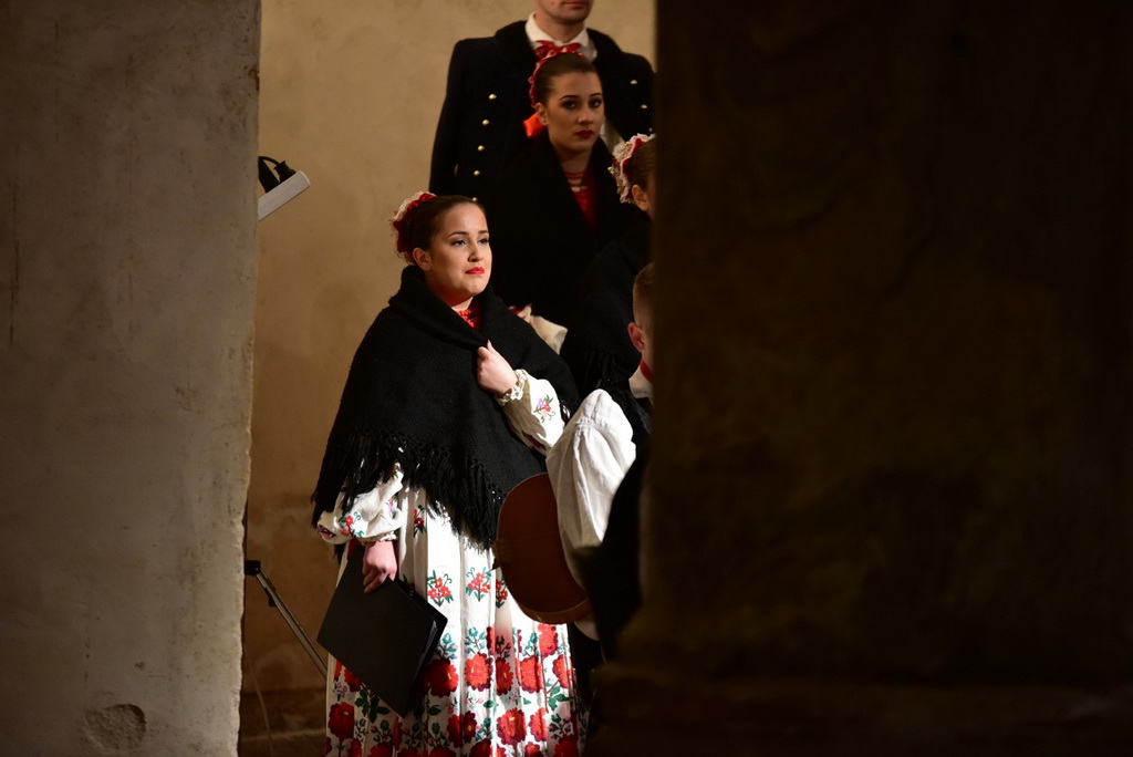 Turopoljsko srce srcu Zadra