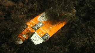 Biograd na Moru: Akcija ciscenja podmorja u uvali Jaz “Cistimo zajedno”