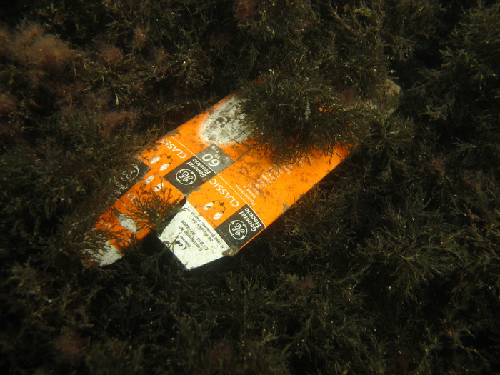 Biograd na Moru: Akcija ciscenja podmorja u uvali Jaz “Cistimo zajedno”