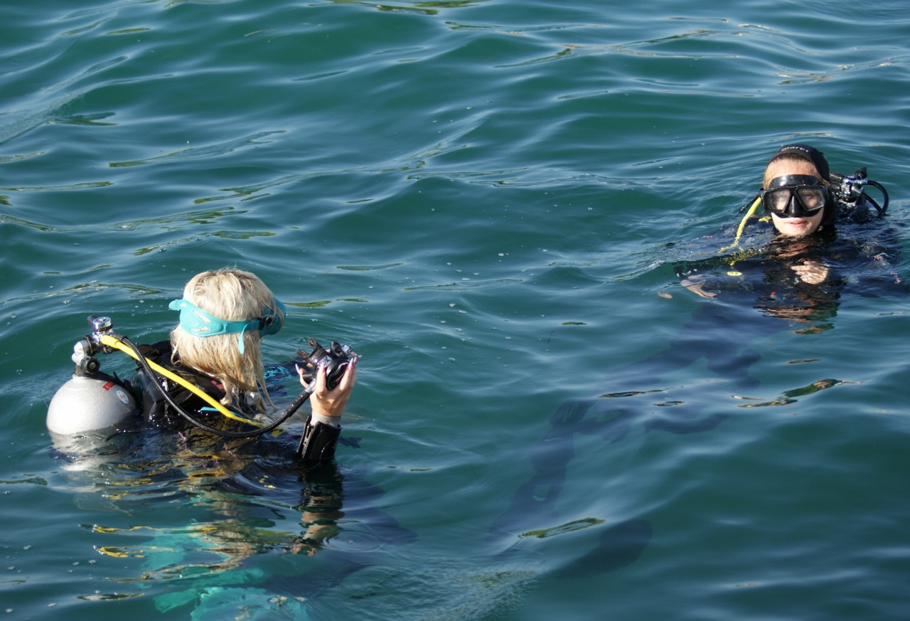 Eko Vir 2024.: Čišćenje podmorja u Radovanjici, Miljkovici i Prezidi Eko Vir 2024.: Čišćenje podmorja u Radovanjici, Miljkovici i Prezidi