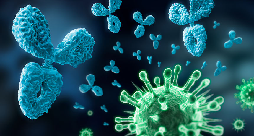 antitijela antitijela