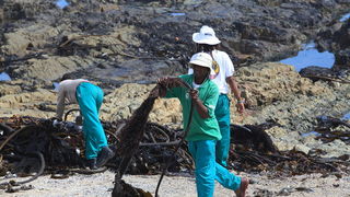 Šetnja Cape Townom u Južnoafričkoj Republici, Foto: Denis Peroš Šetnja Cape Townom u Južnoafričkoj Republici, Foto: Denis Peroš