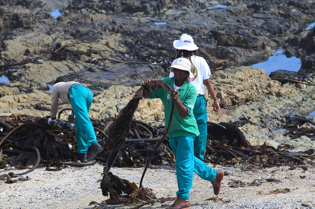 Šetnja Cape Townom u Južnoafričkoj Republici, Foto: Denis Peroš Šetnja Cape Townom u Južnoafričkoj Republici, Foto: Denis Peroš