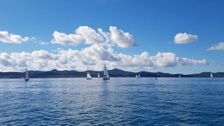 Zadarska Koka 2016. 22. listopada 2016. Foto: Mladen Malik Zadarska Koka 2016. 22. listopada 2016. Foto: Mladen Malik