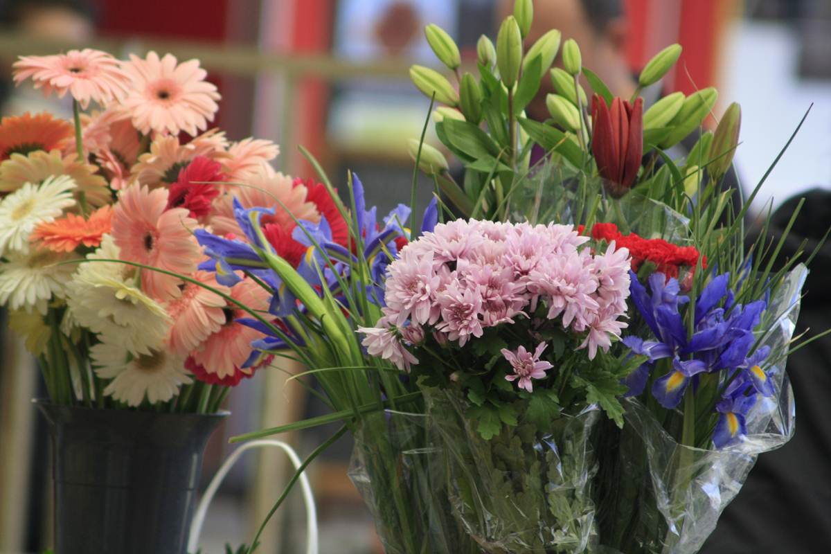 proljetna, kreativna radionica u City Galleriji, foto: Iva Perinčić