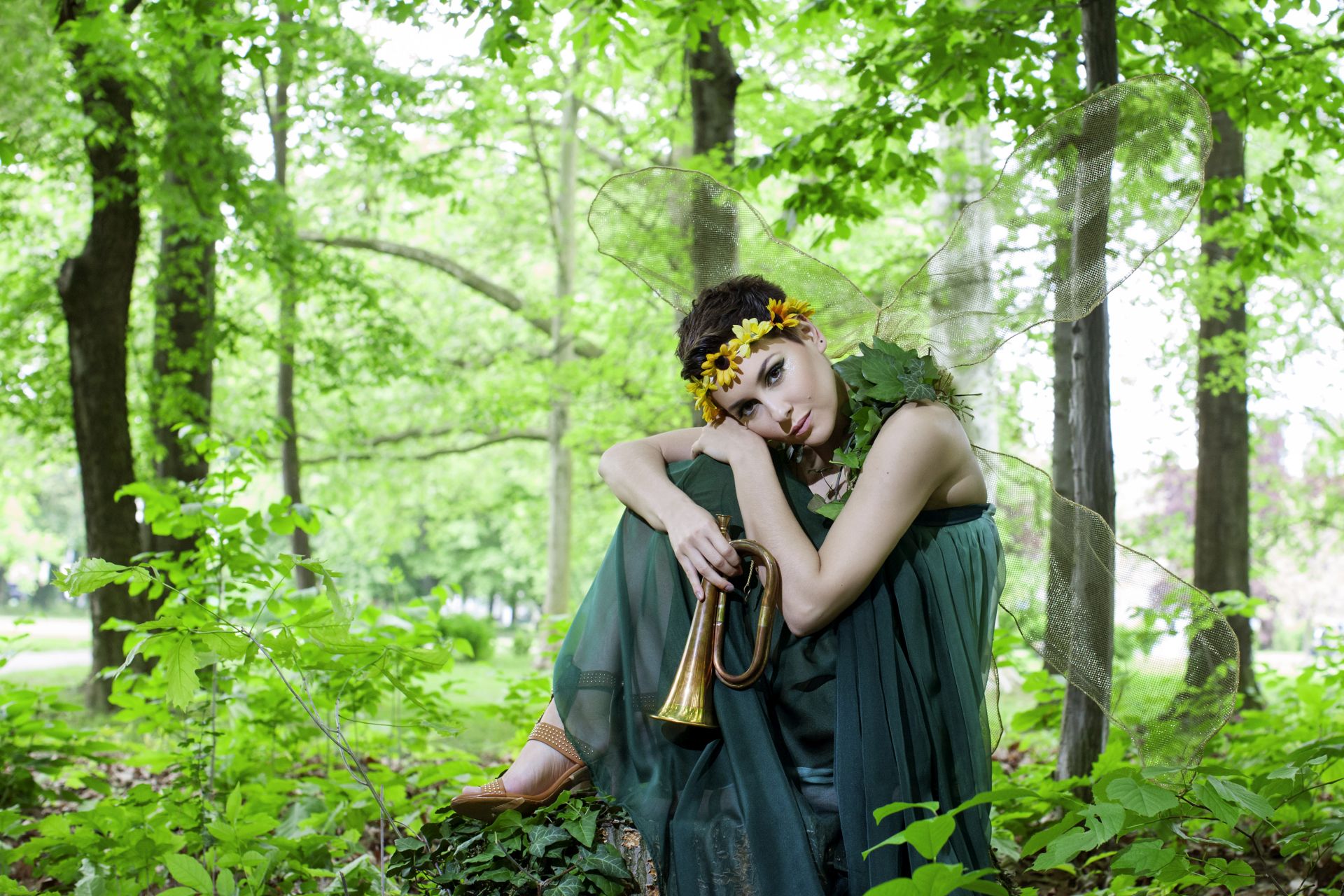 Misice kao šumske vile, koja ima ljepša krila?