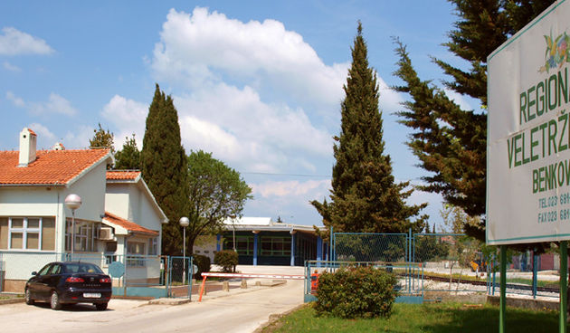 Veletrznica Benkovac, Foto:http://blog.dnevnik.hr/shzzadar