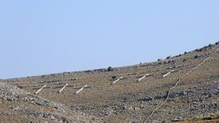 30.08.2015., Kornati – Na otoku Kornatu obiljezena je 8. obljetnica stradanja 12 vatrogasaca iz Sibenika, Vodica i Tisnog. Photo: Dusko Jaramaz/PIXSELL 30.08.2015., Kornati – Na otoku Kornatu obiljezena je 8. obljetnica stradanja 12 vatrogasaca iz Sibenika, Vodica i Tisnog. Photo: Dusko Jaramaz/PIXSELL
