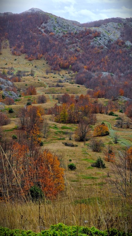 Jesen na Majstorskoj cesti Jesen na Majstorskoj cesti