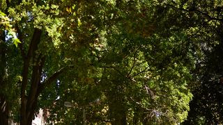 Subotnja šetnja najlipšom rivom i poluotokom. Foto: Iva Perinčić Subotnja šetnja najlipšom rivom i poluotokom. Foto: Iva Perinčić