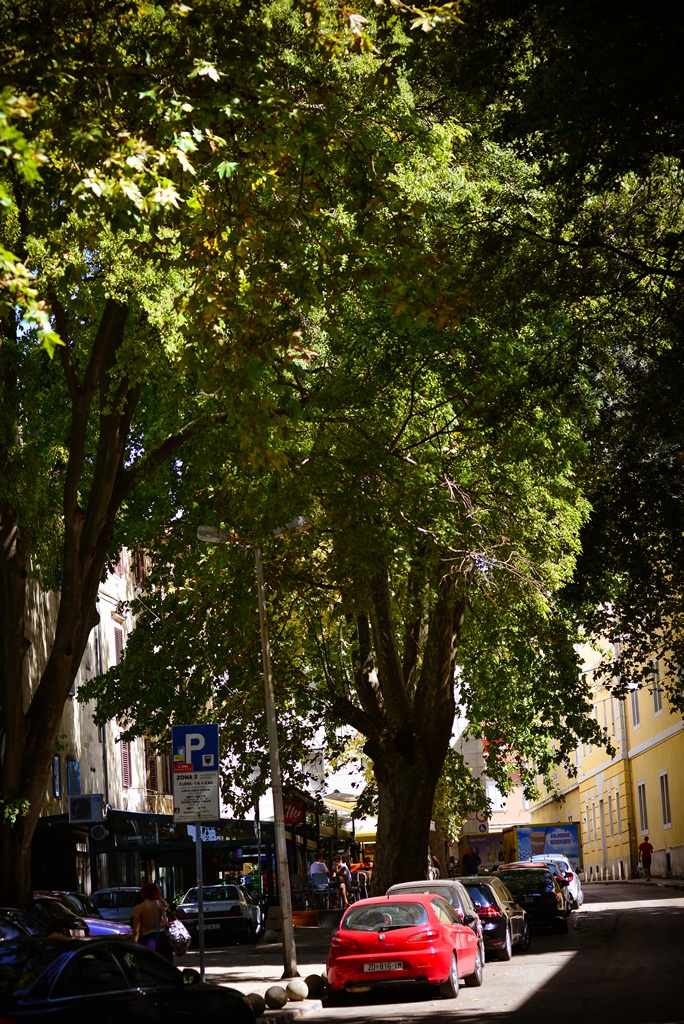 Subotnja šetnja najlipšom rivom i poluotokom. Foto: Iva Perinčić Subotnja šetnja najlipšom rivom i poluotokom. Foto: Iva Perinčić