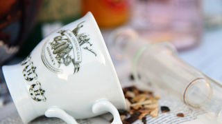 ELFS Cruise collection 2022