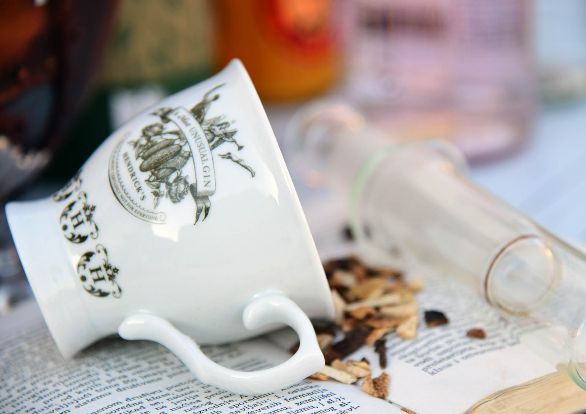 ELFS Cruise collection 2022