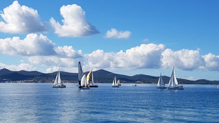 Zadarska Koka 2016. 22. listopada 2016. Foto: Mladen Malik Zadarska Koka 2016. 22. listopada 2016. Foto: Mladen Malik