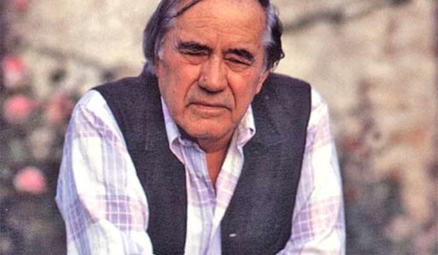 Dušan Džamonja (Foto: istra.com)