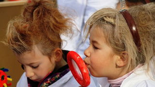 Virski karnevalić 2016. Virski karnevalić 2016.