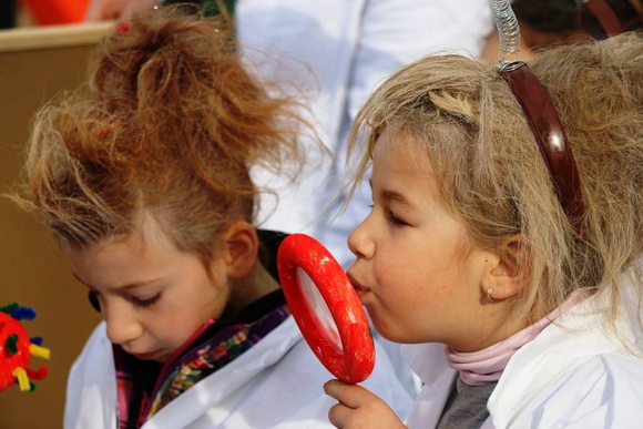 Virski karnevalić 2016. Virski karnevalić 2016.