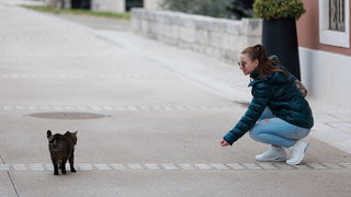 Đir po gradu, 20. siječnja 2025.