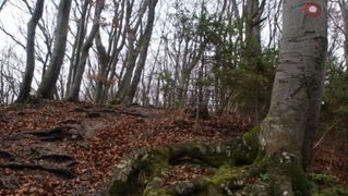 Samoborsko gorje, studeni 2010
